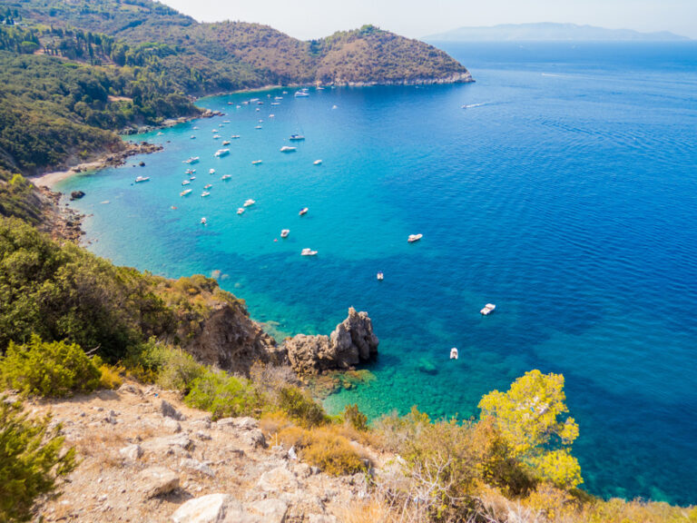 Argentario Yacht Services